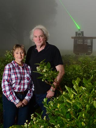 Laser crop protection