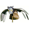 Prowler Owl