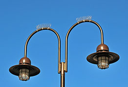 Street lights with bird spikes